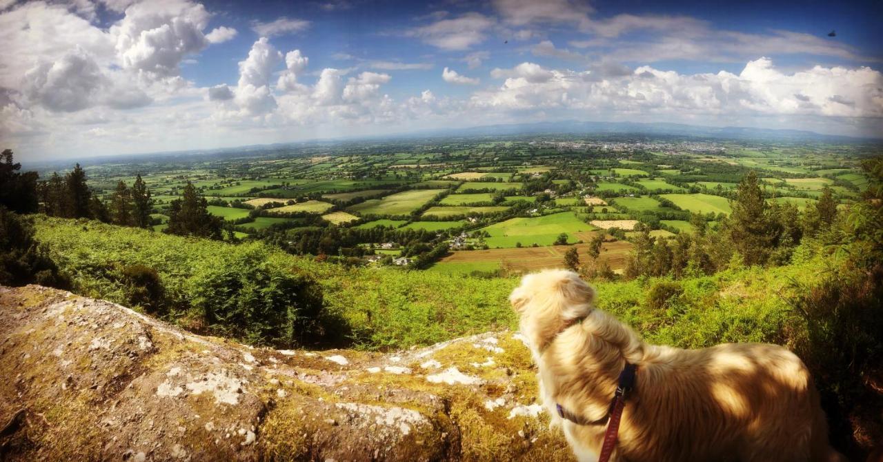 Ballyglass Country House Tipperary Εξωτερικό φωτογραφία
