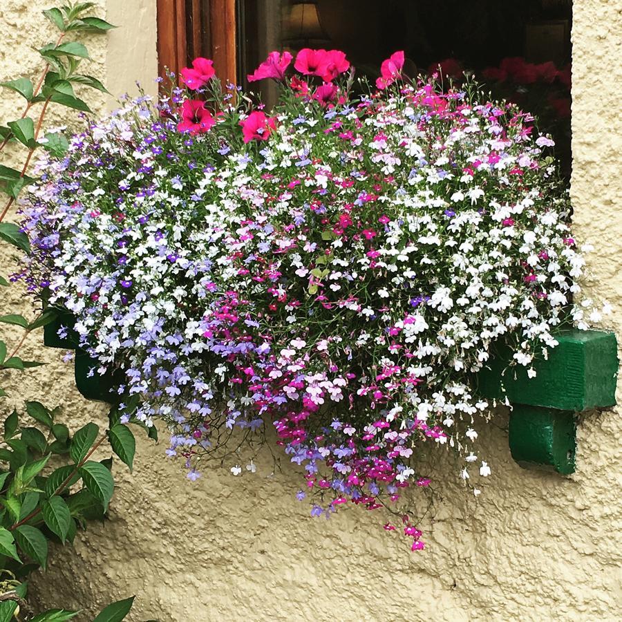 Ballyglass Country House Tipperary Εξωτερικό φωτογραφία